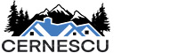 Wellpress logo